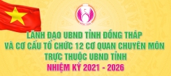 Cấp phiếu lý lịch tư pháp, cấp đổi, cấp lại giấy phép lái xe - Nhanh chóng, tiện lợi